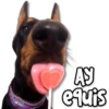 KANE STICKERS
AY
equis
OC
