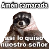 Amén camarada
GONSTO
así lo quiso
nuestro señor