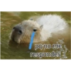 ¡ pq no me respondes :(
