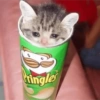 Pringles