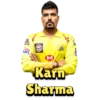 Chennai Super Kings (IPL) 9