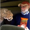 Cheetos Crunchy