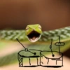 Cute snake 15