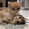 @Harley_Stickers Quiero estar así contigo en este momento