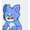 Sebas pro gatito 2020 16