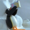 Pingu  19