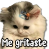 Me gritaste