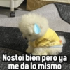 V
Nostoi bien pero ya
me da lo mismo
GeysiOy