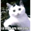 LU BIAR APA KEK GITU?