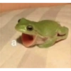 Randomssss pa lo que sea  6