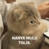 NANYA MULU TOLOL