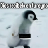Dios recibelo en tureyno
GeysiOy