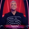 ।।। "Sozinho" (Peninha)