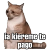 @SoyChoogomilq ia kiereme te pago