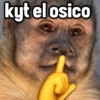 kyt el osico
Gers 38