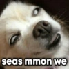 seas mmon we