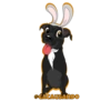 @CACAUSANDO
