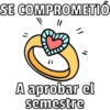 ✨Se Comprometió💍 4