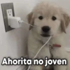 Ahorita no joven
GeysiOy