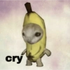 cry