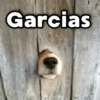 Garcias
Geysicy