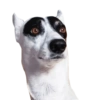 CatiPanda1 15