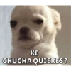 Memes para contestar 2 5