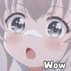 Anime And Cats 18