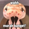 Cute snake 8