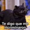 Gatitos Shitposting 2 27