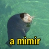 a mimir