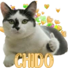 CHIDO