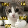 TMJ JAE OK TÁ BLZ