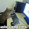 unite a webex bro