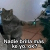 Gatitos Shitposting 2 28