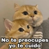 No te preocupes yo te cuido