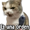 Es una orden
Kanchere