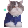 Ok