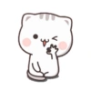 Cat-chan😼 22