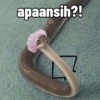 Cute snake 9