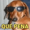 QUE PENA