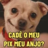 CADÊ O MEU
PIX MEU ANJO?
