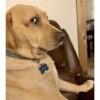 WALTER