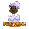 SURPRESA!
@CACAUSANDO