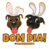 20
BOM DIA!
@CACAUSANDO