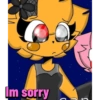Im sorry