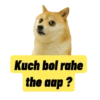Kuch bol rahe the aap ?