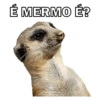 Animais 10