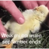 Weik mi op wuen
september ends