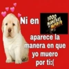 ❤️Shitposting de Amor❤️ 17